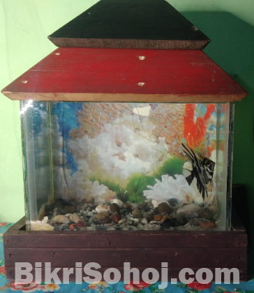 Fish Aquarium (12×8×8)
